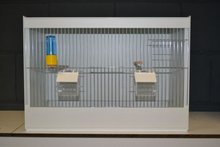 Kunststof kweekkooi 1-delig