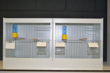 Kunststof kweekkooi 2-delig