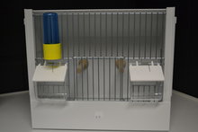 Kunststof trainingskooien