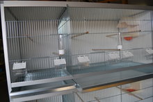 Trespa kweekkooien 1 delig 