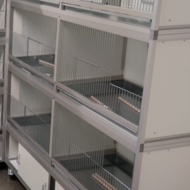 Trespa kweekkooien 2 delig parkiet