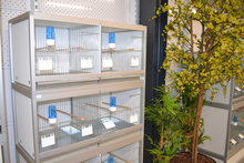 Trespa kweekkooien 2 delig 