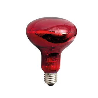 Infrarood lamp 60 Watt