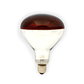 Infrarood lamp 250 Watt