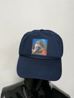 Pet met blauwgele ara