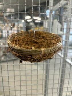 kanarie nest cocos - pitriet groot
