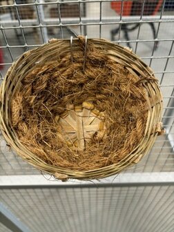 kanarie nest cocos pitriet klein