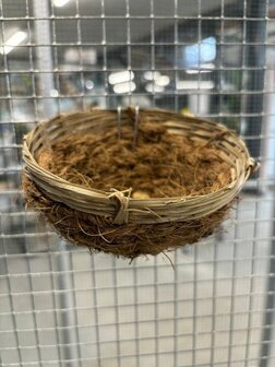 kanarie nest cocos pitriet klein