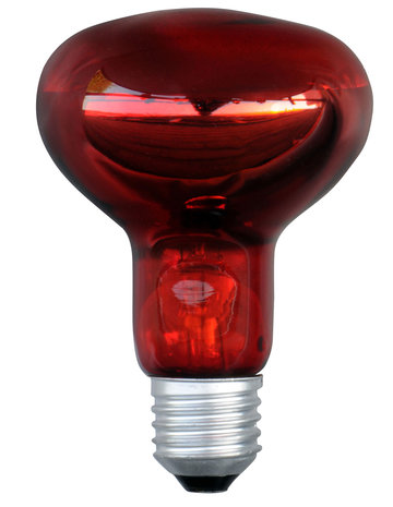 Infrarood lamp 100 Watt