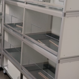 Trespa kooi parkiet 125x51.5x51.5 Trespa kooi parkiet 125x51.5x51.5