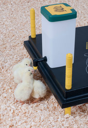 Kuikendrinkfles met klapdeksel 1 liter Kuikendrinkfles met klapdeksel 1 liter