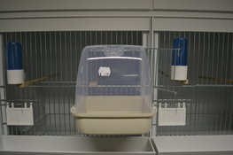 3115 badhuis 3115 badhuis